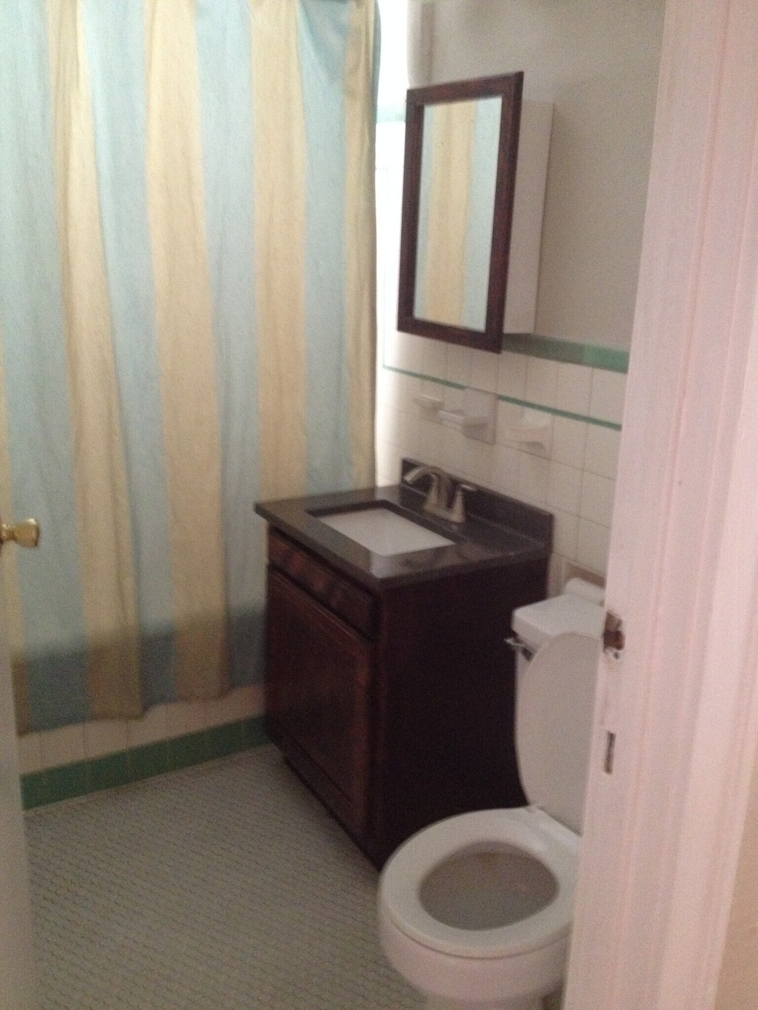 Bathroom - 117 E Norwood Ct