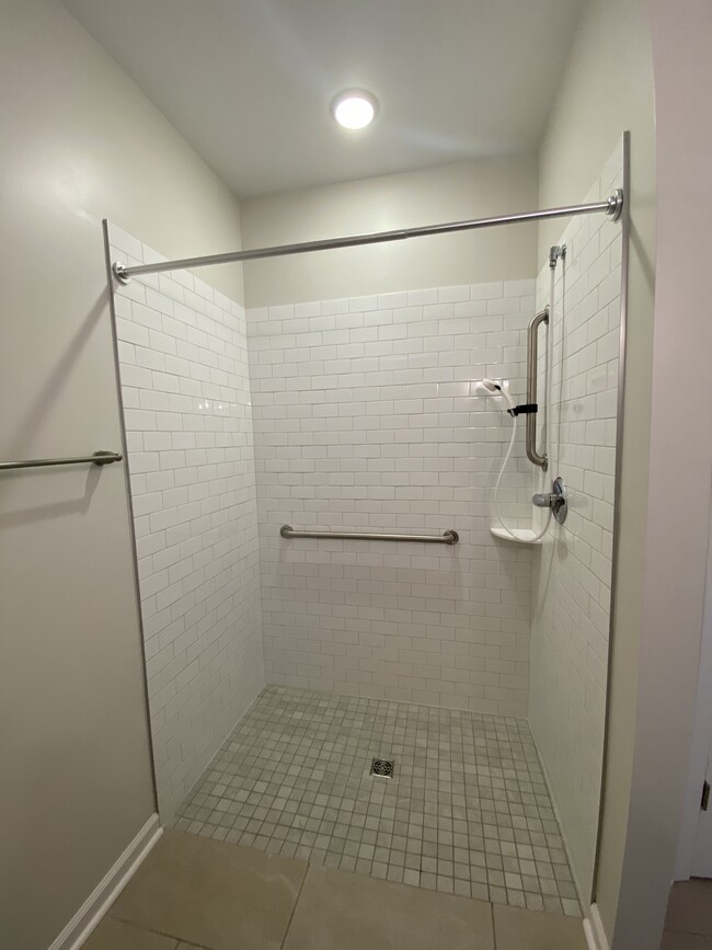 Walk-in Shower - 433 Long Branch Ln