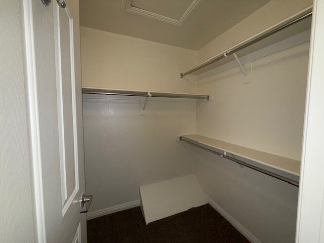 Building Photo - 3520 Glorious Iris Pl