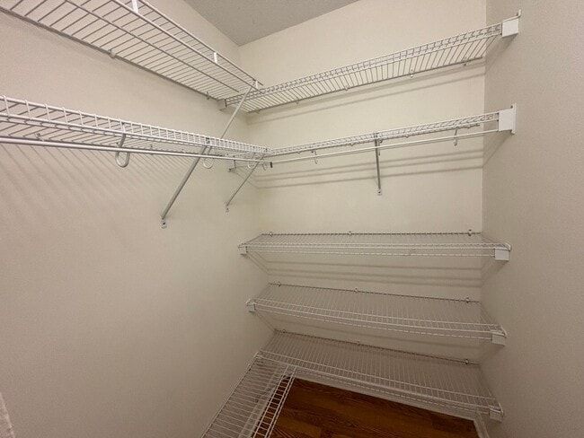 Building Photo - 3/3 Newly renovated on 3+ acres