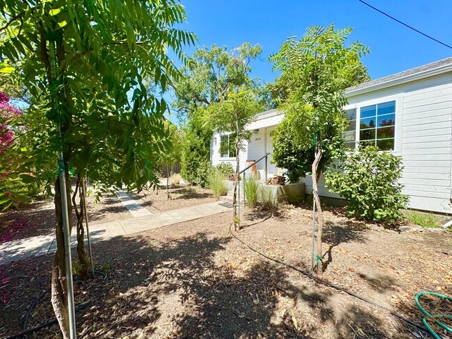 Building Photo - Rare Find Saint Helena Gem, “Upper Tainter...