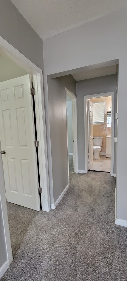 Building Photo - 8057 Meadow Ave