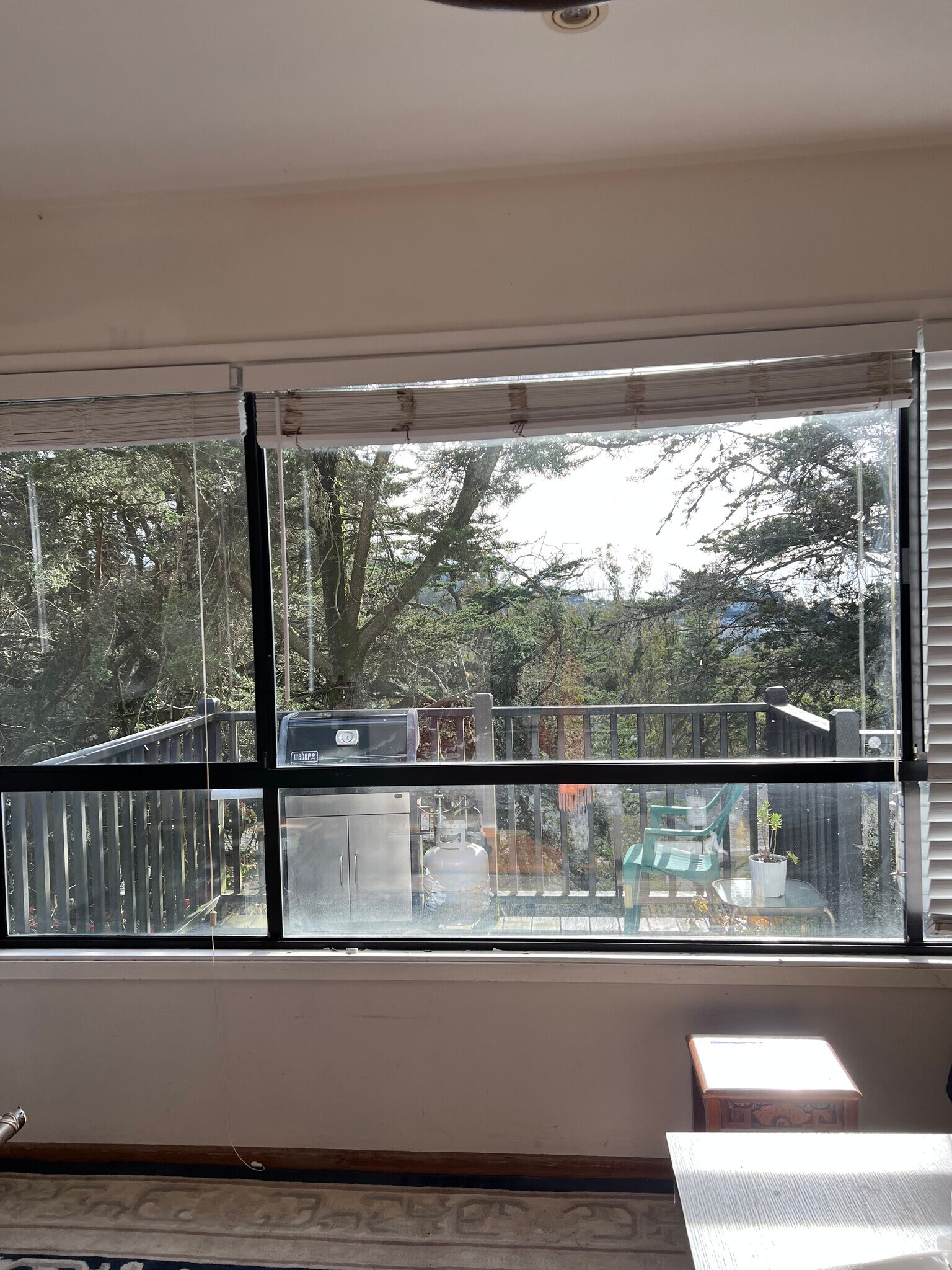 View - 409 Dellbrook Ave