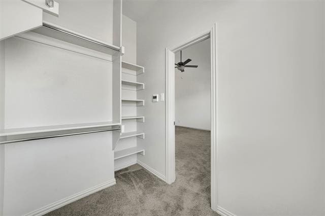 Building Photo - 2538 Settlers Pl