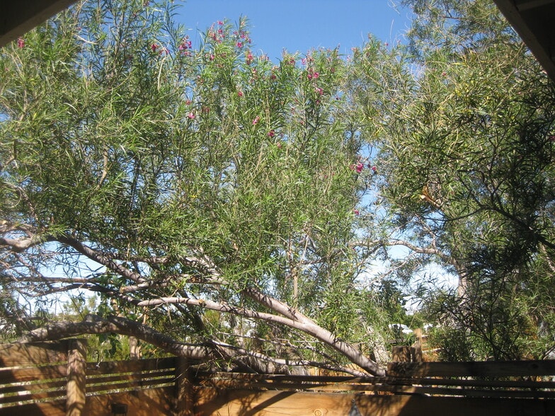 Building Photo - 6588 Split Rock Ave