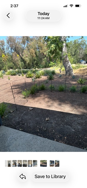Fenced yard - 23501 Ave La Caza Ave