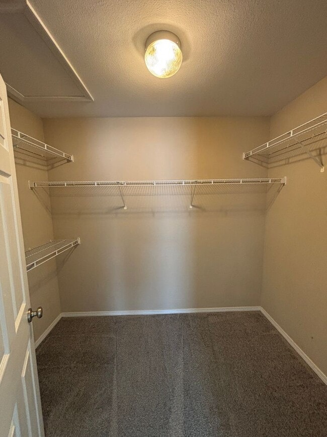 Building Photo - 423 Larkway