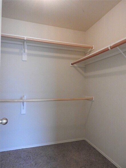 Building Photo - 6006 Holly Crest Ln