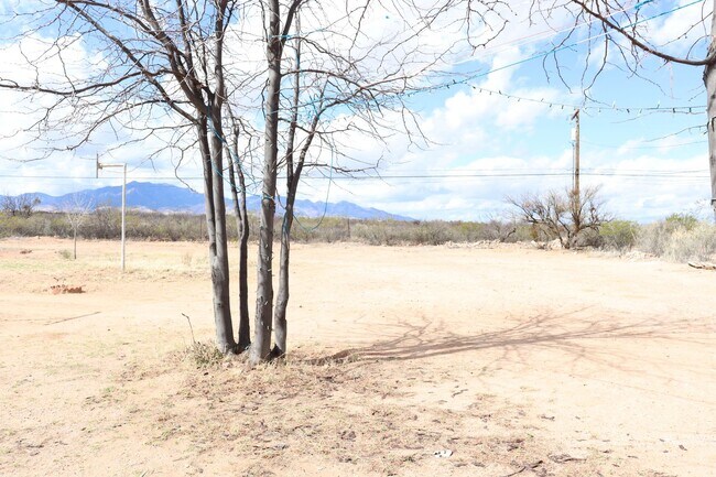 Building Photo - Large Backyard