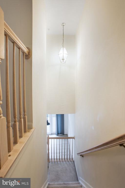 Building Photo - 13008 Shamrock Glen Dr