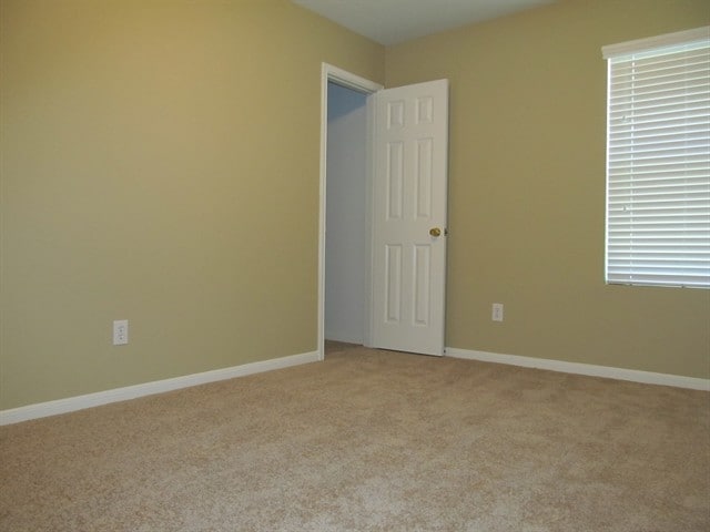 Building Photo - 2423 Lofty Falls Ct