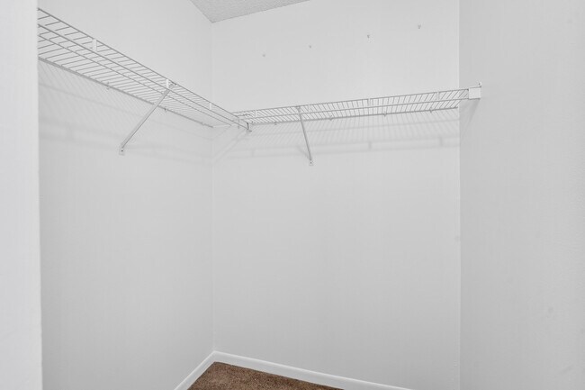 Building Photo - 6612 Spring Bottom Way