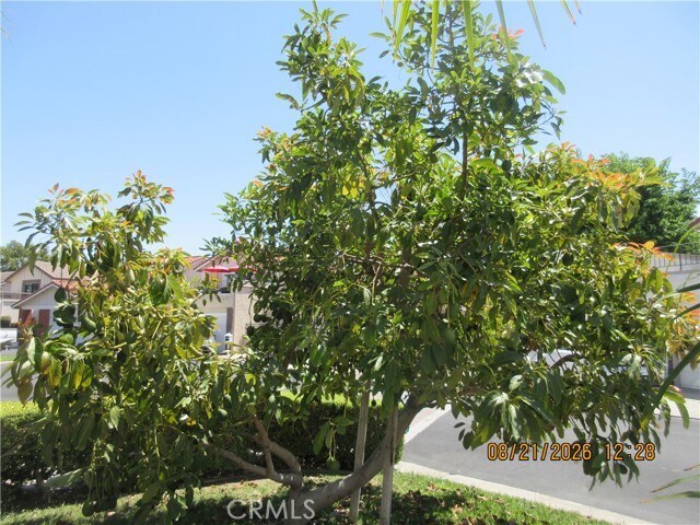 Building Photo - 6777 Ossabaw Ct