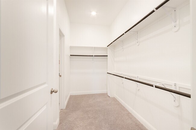 Building Photo - 2219 Grapewood Ln