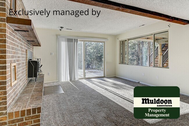 Building Photo - Stunning Black Forest Home!