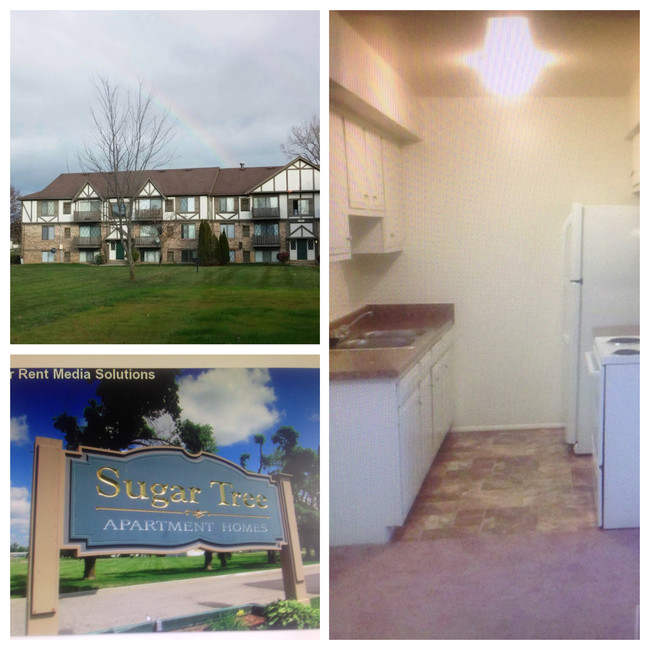 Sugartree Apartments Mount Morris Mi Apartment Finder