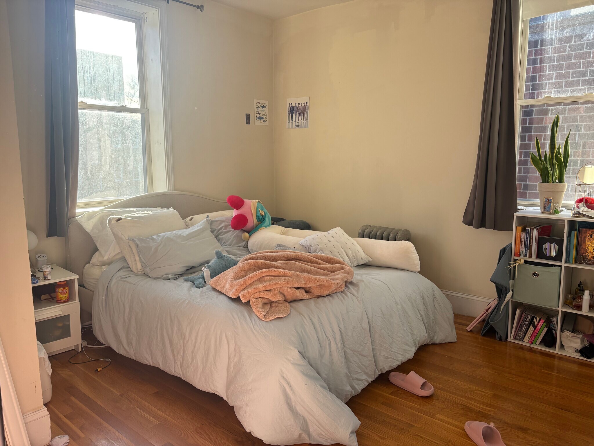 Building Photo - 60 Egmont St