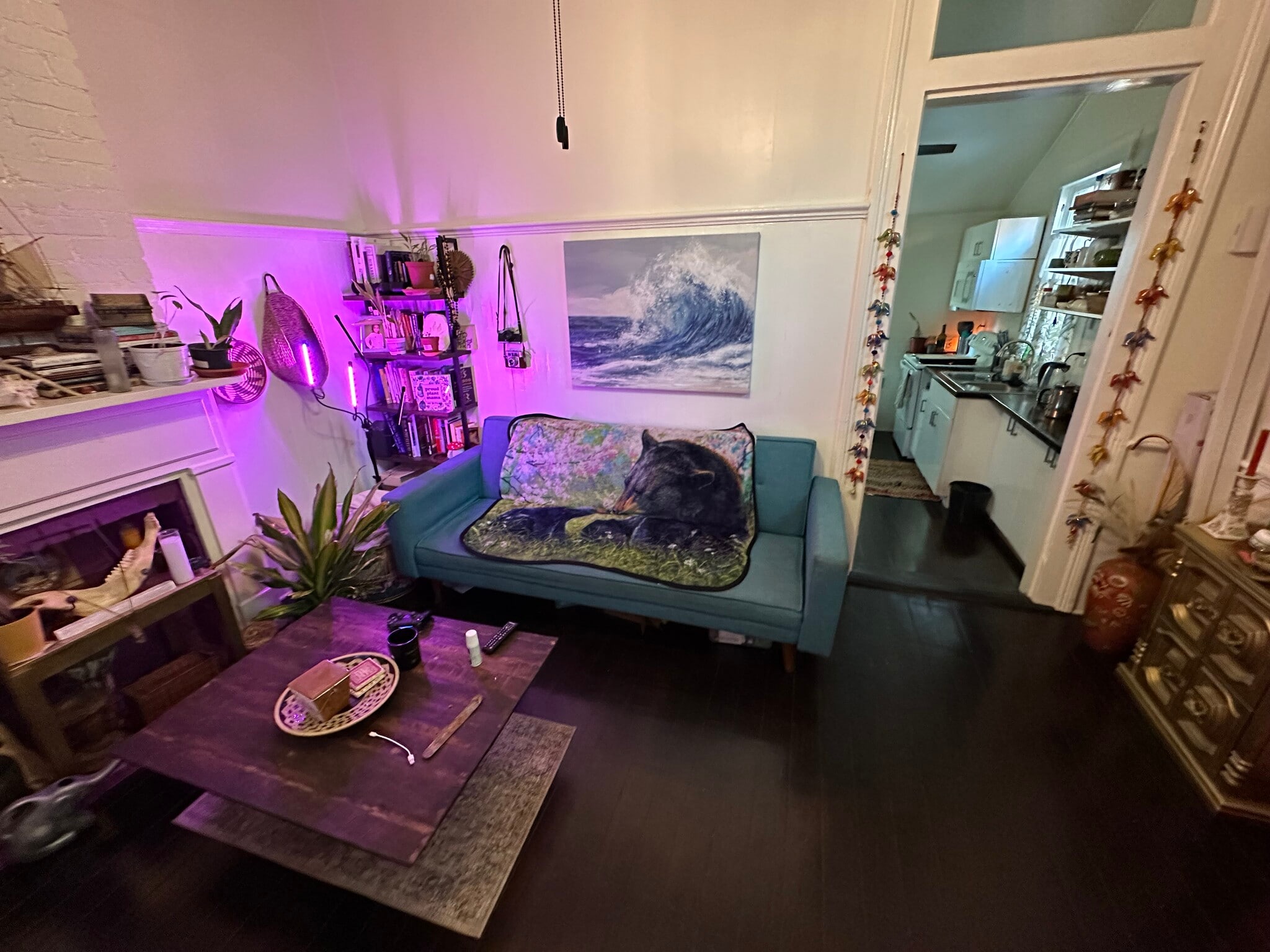 Living Room - 3821 Dauphine St
