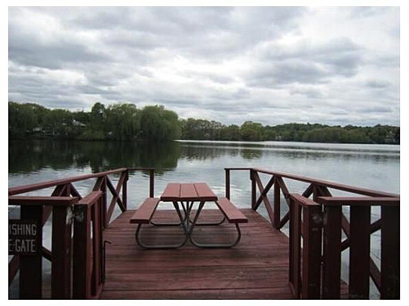 On the Spy Pond - 34 Hamilton Rd