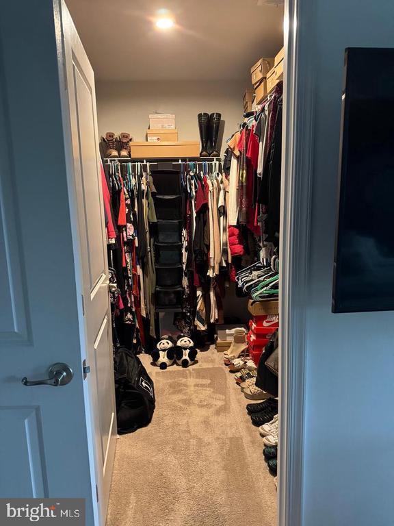 Building Photo - 9816 Cedarmass Cir