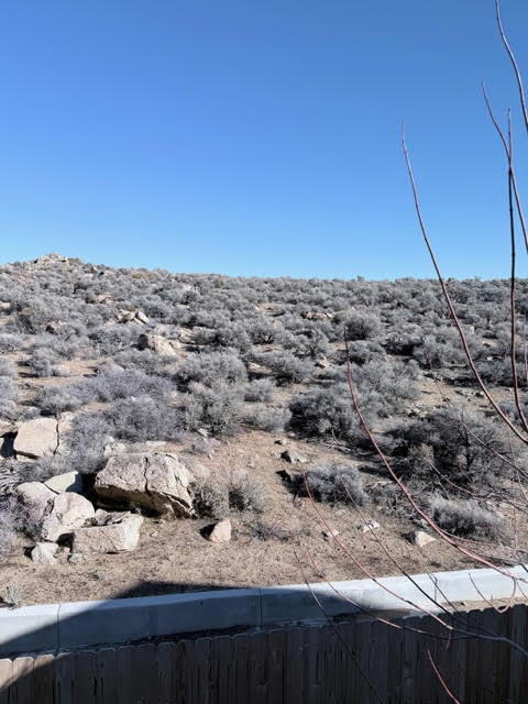 Building Photo - Move-in Ready! 4 Bedroom 2.5 House in Lemmon Valley!
