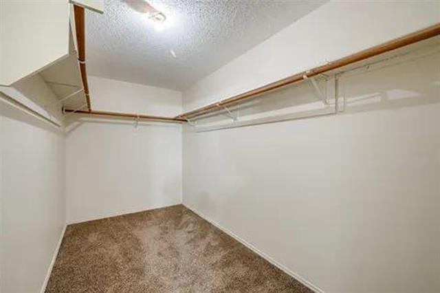 Building Photo - 933 Medina Dr