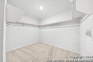 Building Photo - 813 Indigo Wy