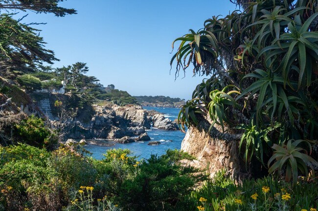 Building Photo - Bonnie's Point | Home Next to Point Lobos State Natural Reserve