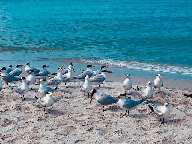 Building Photo - 2200 Arielle Dr