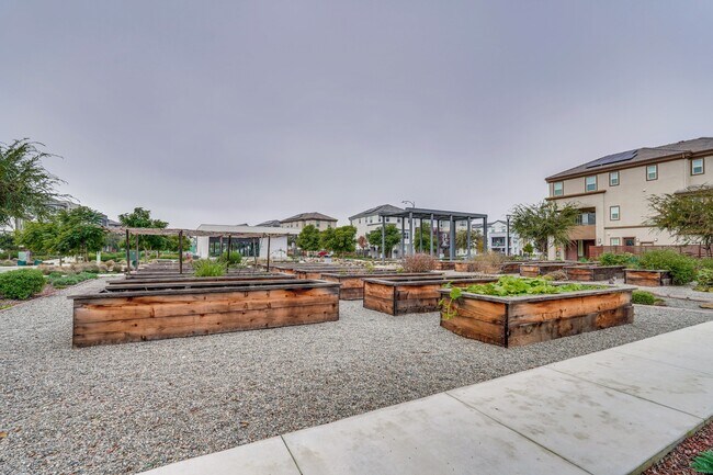 Building Photo - 2248 Solace Loop