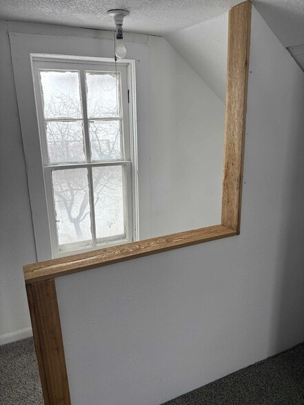 Upstairs Loft Lots of Sun - 259 Elizabeth St