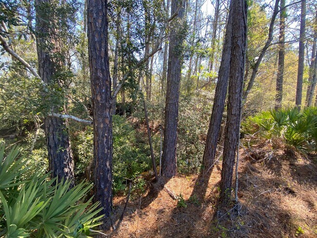 Building Photo - 1 Month Free — Applied as 50% Off Your First 2 Months - Ranch home quiet neighborhood in Hinesville