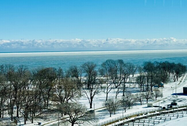 Building Photo - 3550 N Lake Shore Dr