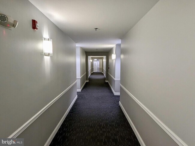 Building Photo - 5563 Seminary Rd