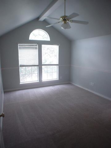 Building Photo - 5305 Coachman Ct