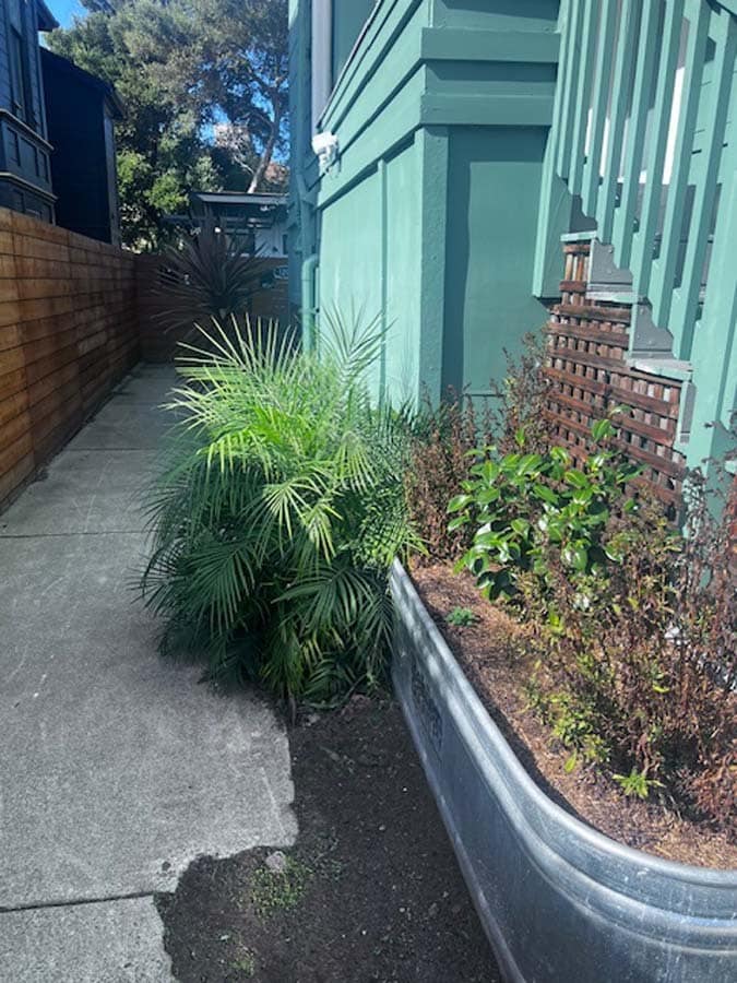 Building Photo - 1301 Adeline St