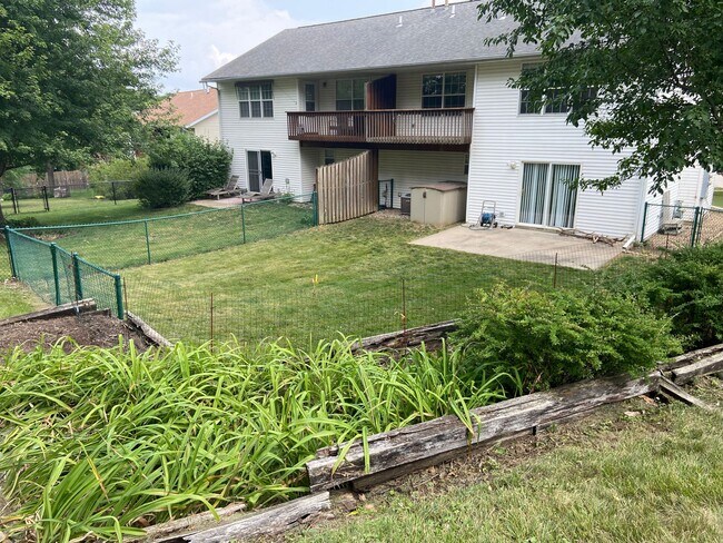 Backyard - 2502 Catskill Ct