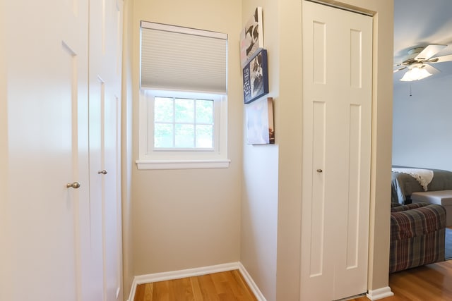 Building Photo - 196 White Branch Ct