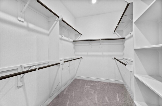 Building Photo - 23426 Yaupon Hills Dr