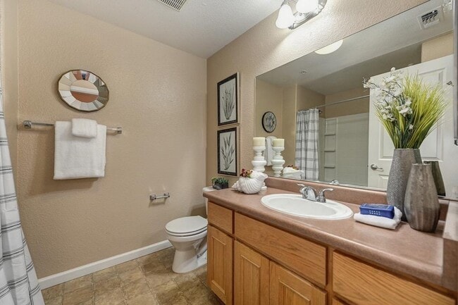 Building Photo - 10001 Woodcreek Oaks Blvd