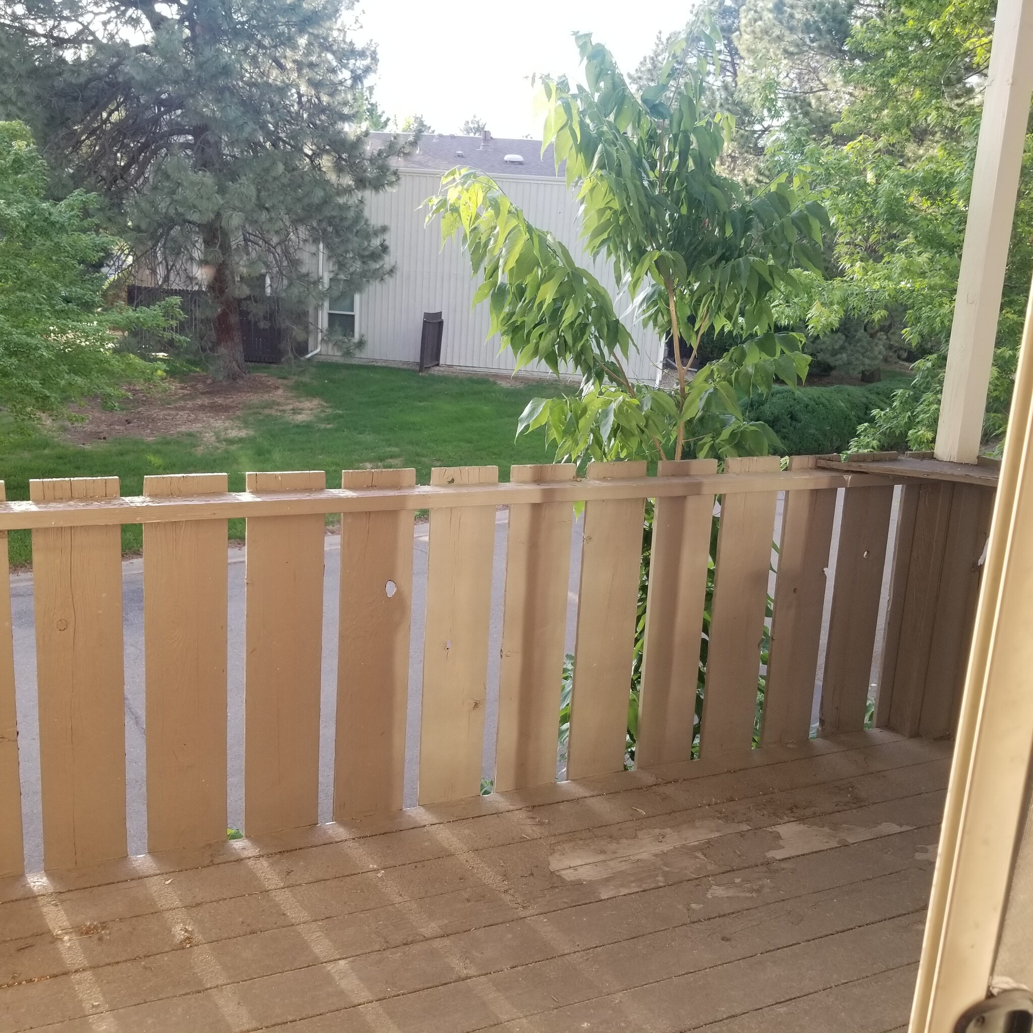 Patio - 8060 Niwot Rd