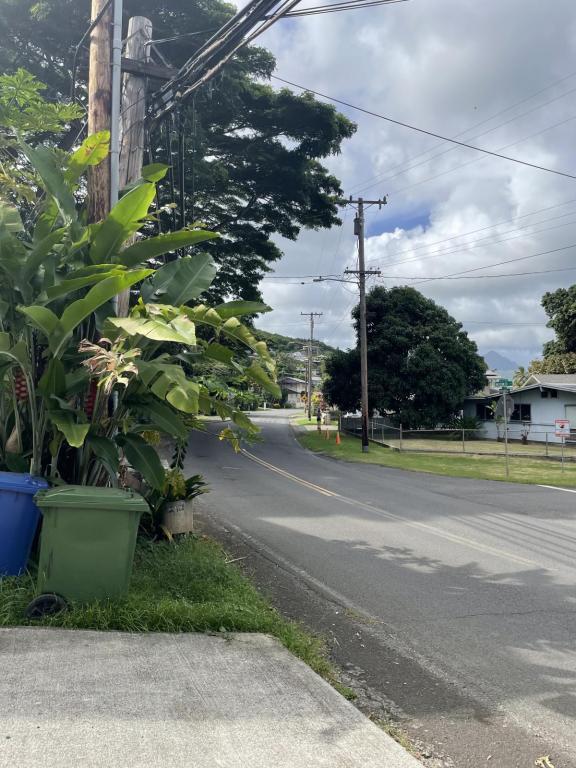 Building Photo - 47-218 Kamehameha Hwy 3rd floor