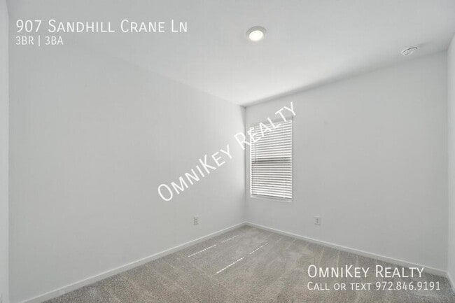 Building Photo - 907 Sandhill Crane Ln