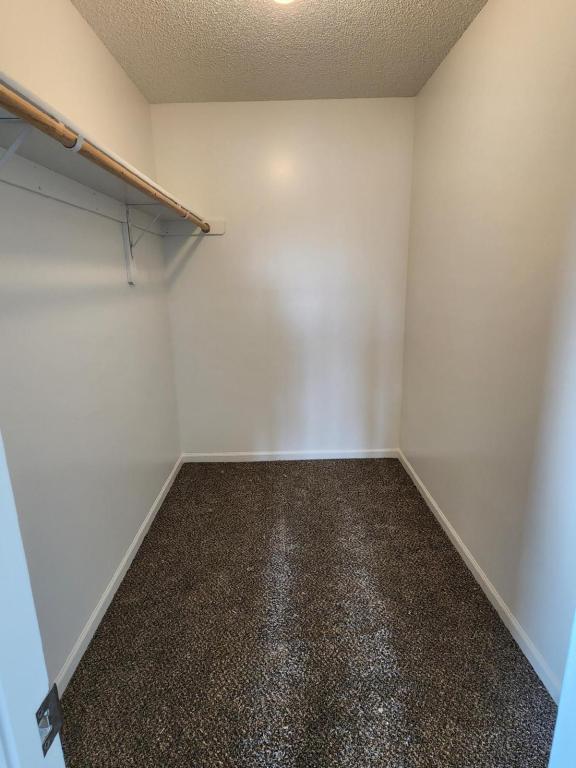 Building Photo - 2224 Chanticleer St