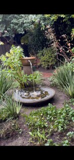 Garden fountain and pond - 2615 Parker St