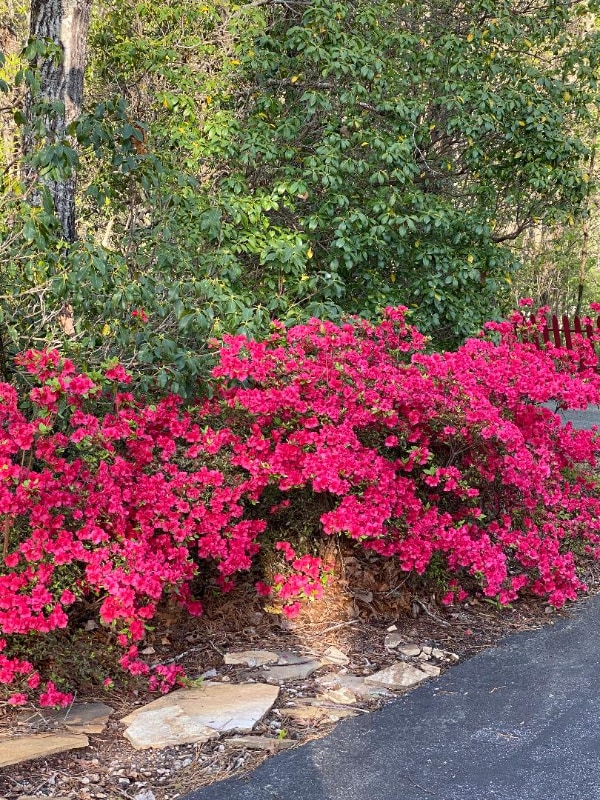 Building Photo - 173 Payne Hill Dr