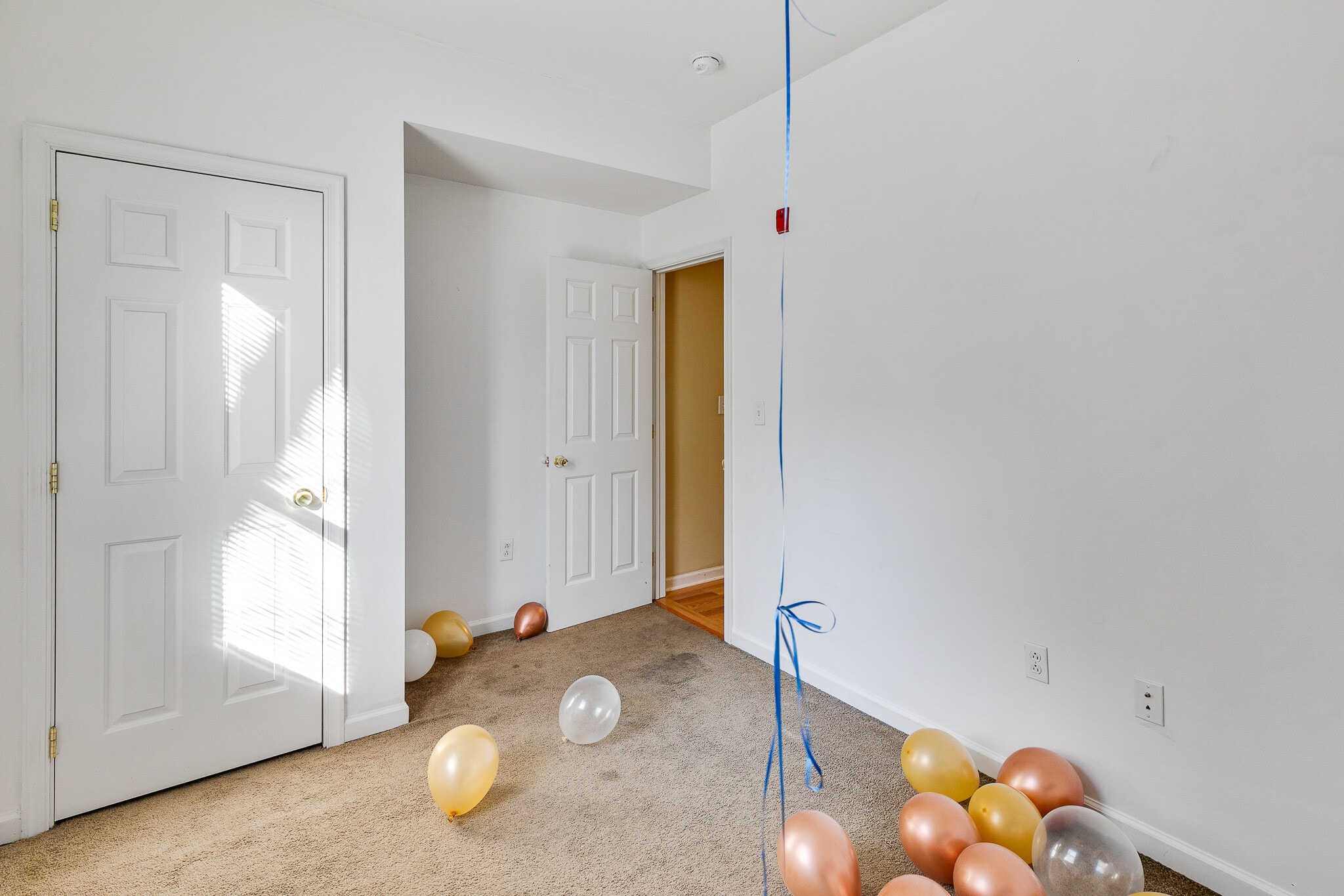 Building Photo - 1816 N 17th St