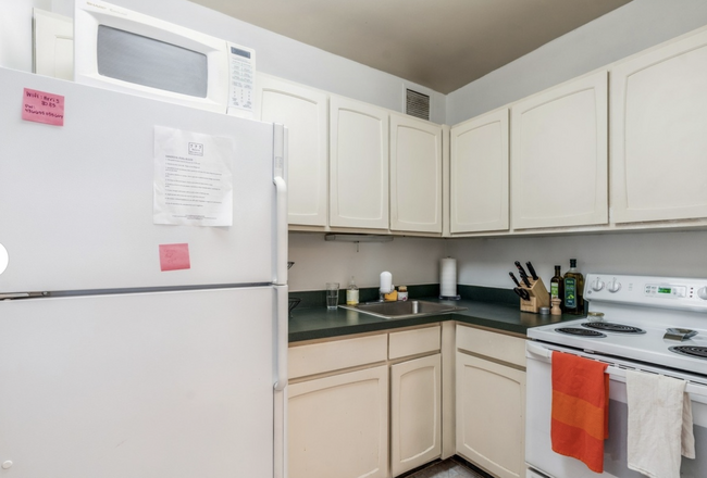 Kitchen (Unit 3106) - 777 N Michigan Ave