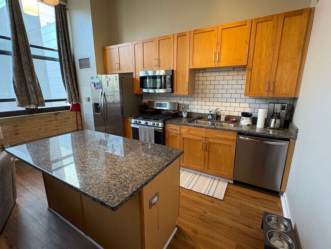 Building Photo - South Loop Chicago 1 Bed 1 Bath Apartment