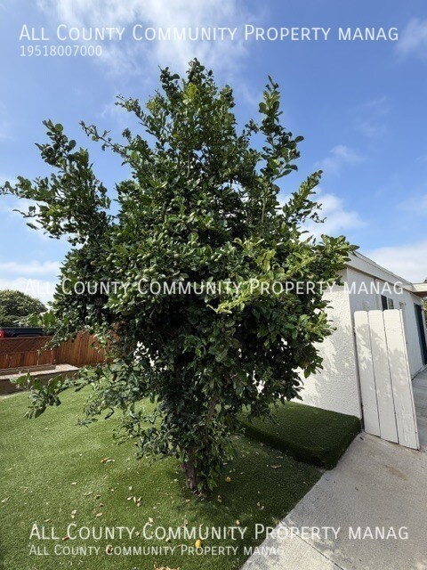 Building Photo - 2956 Mission Village Dr